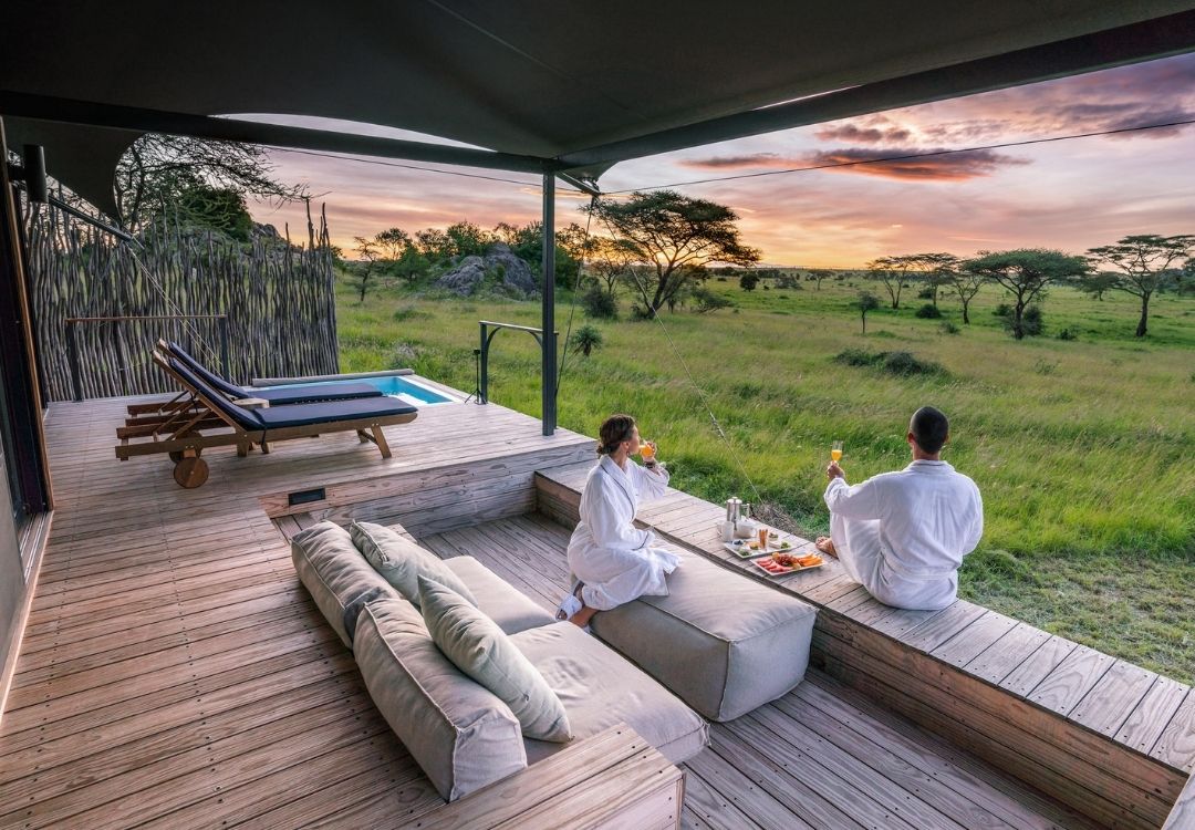 serengeti timeless (11)