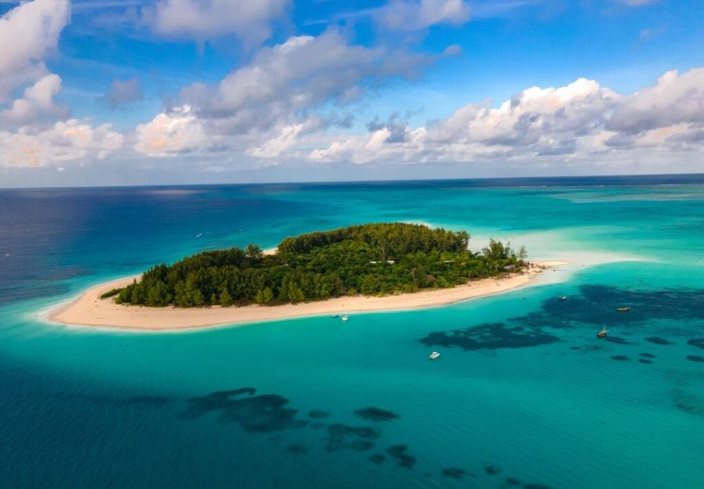 serengeti timeless (41)