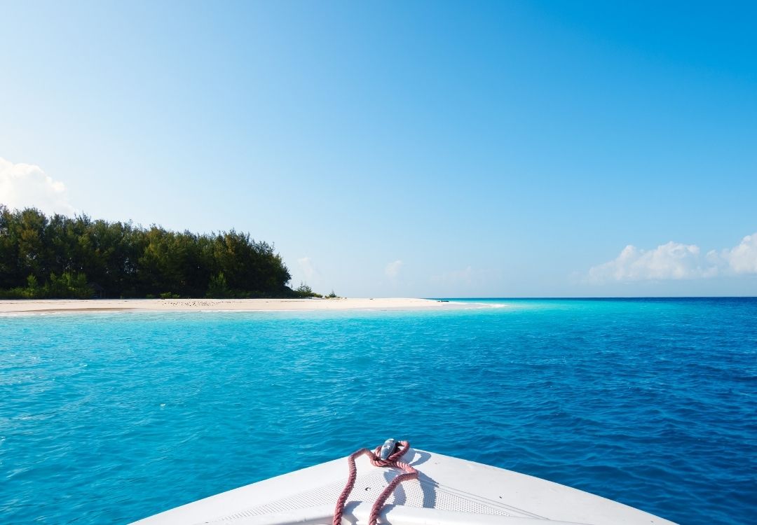 serengeti timeless (43)