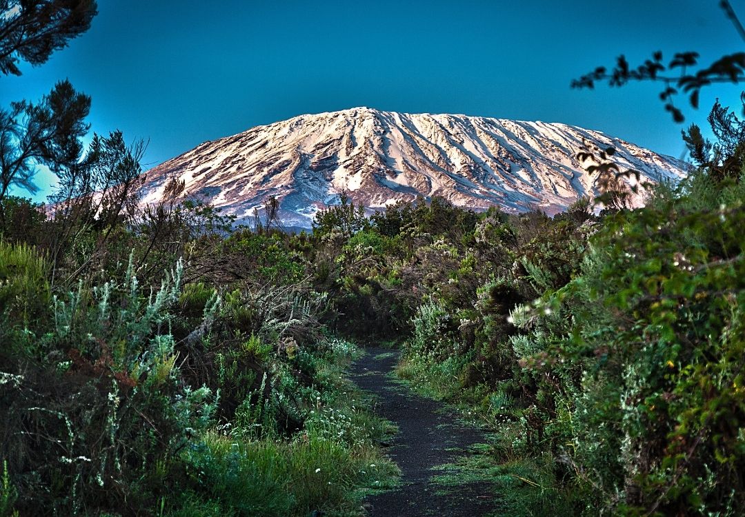 serengeti timeless (44)