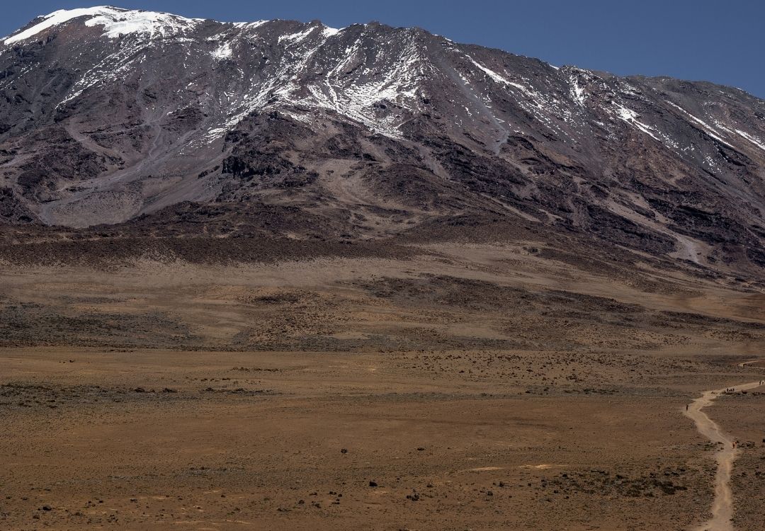 serengeti timeless (45)