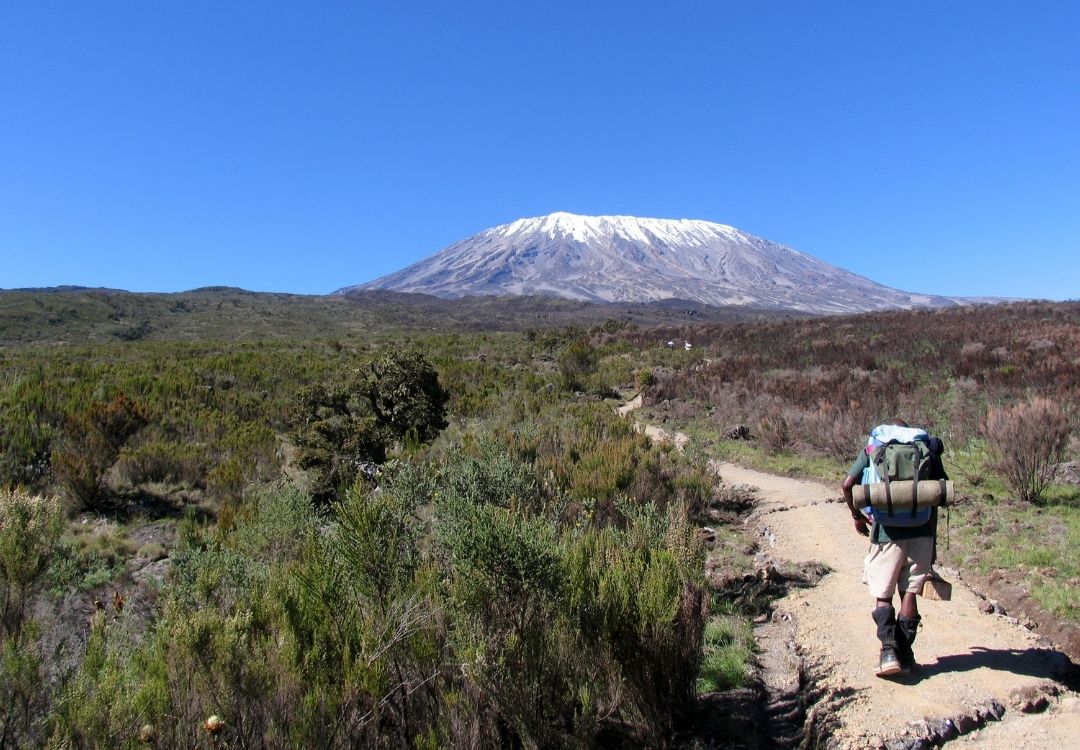 serengeti timeless (47)