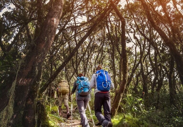 serengeti timeless (48)