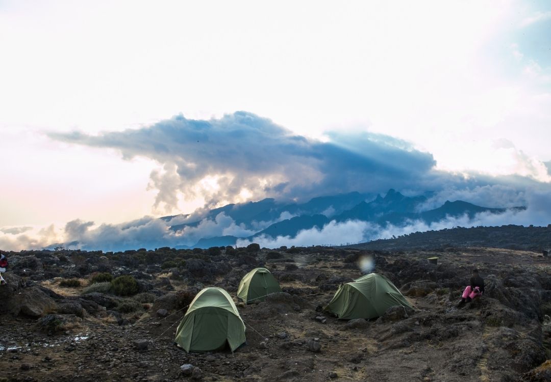 serengeti timeless (49)