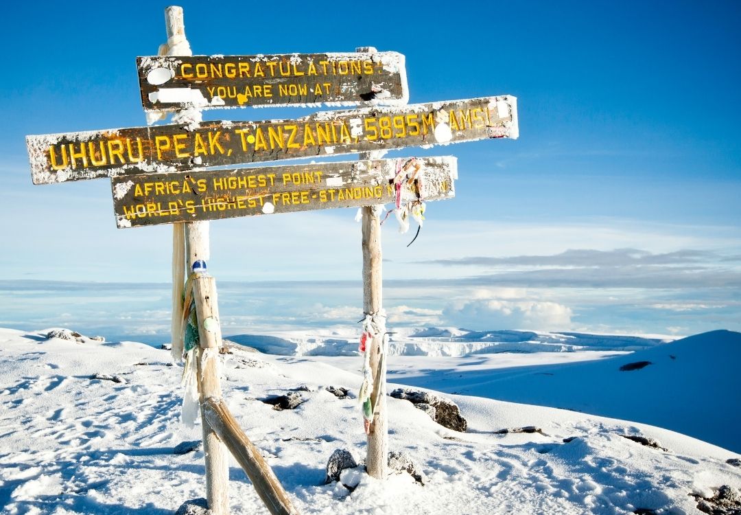 serengeti timeless (52)