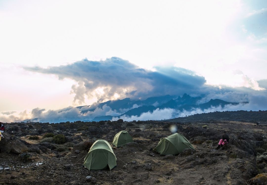 serengeti timeless (53)