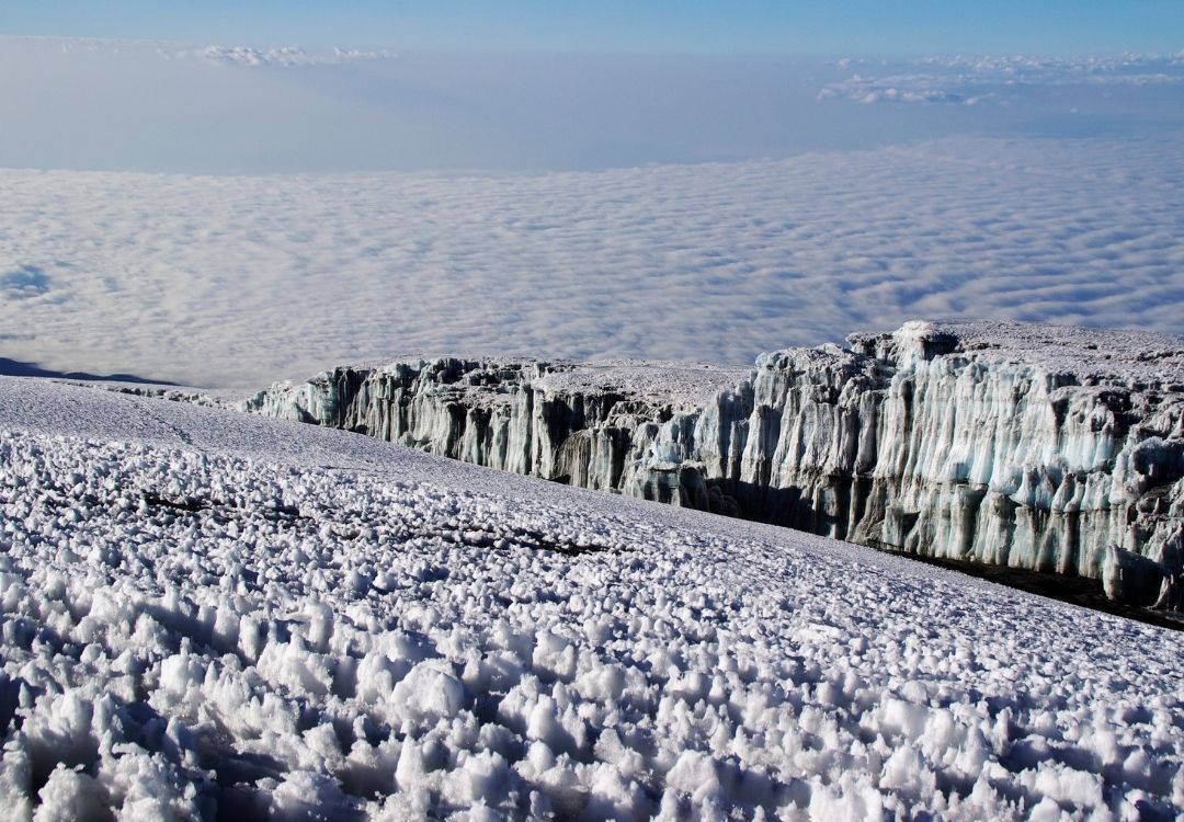 serengeti timeless (55)