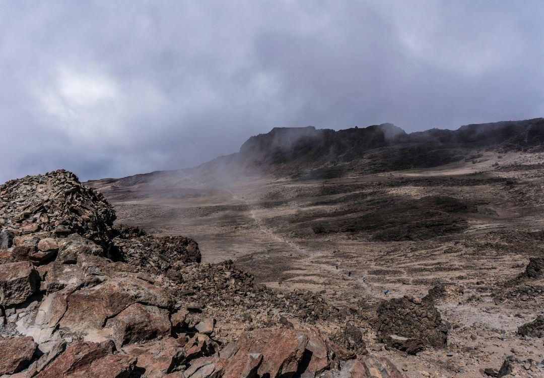 serengeti timeless (59)