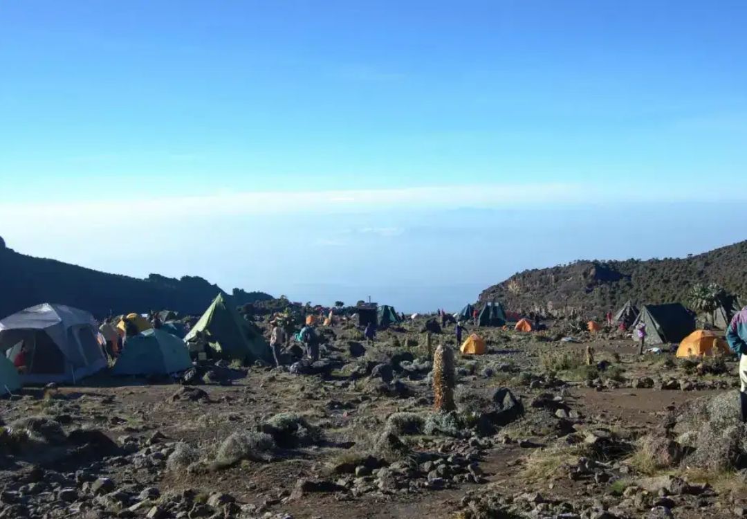 serengeti timeless (63)