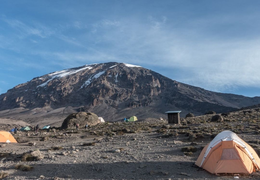 serengeti timeless (64)