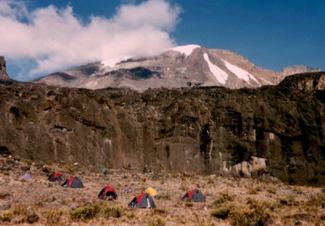 serengeti timeless (67)