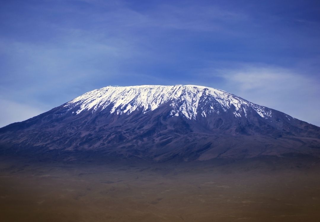 serengeti timeless (8)