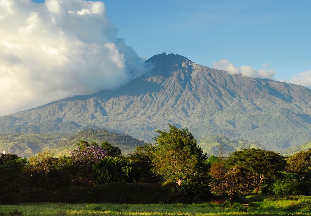 serengeti timeless (9)